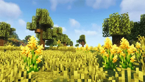 Mở ảnh động gốc giphy.gif